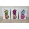Trojdílný obraz Pineapple 1