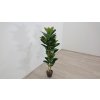 Umělá rostilina v květináči 134 cm FICUS ELASTICA_2